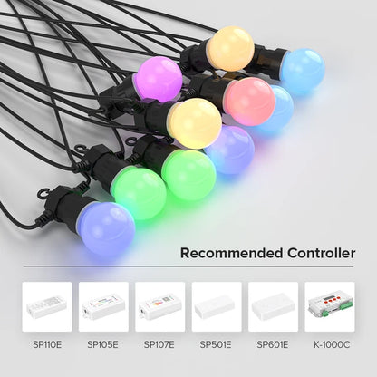 Pixel Festoon Lighting Kit RGBIC Addressable 12V