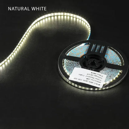 Dissected Neon Flex LED Strip IP20 DC12V 10m/roll