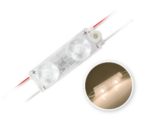 MODULE 2 LED 0.48W 24vDC 4000K IP67