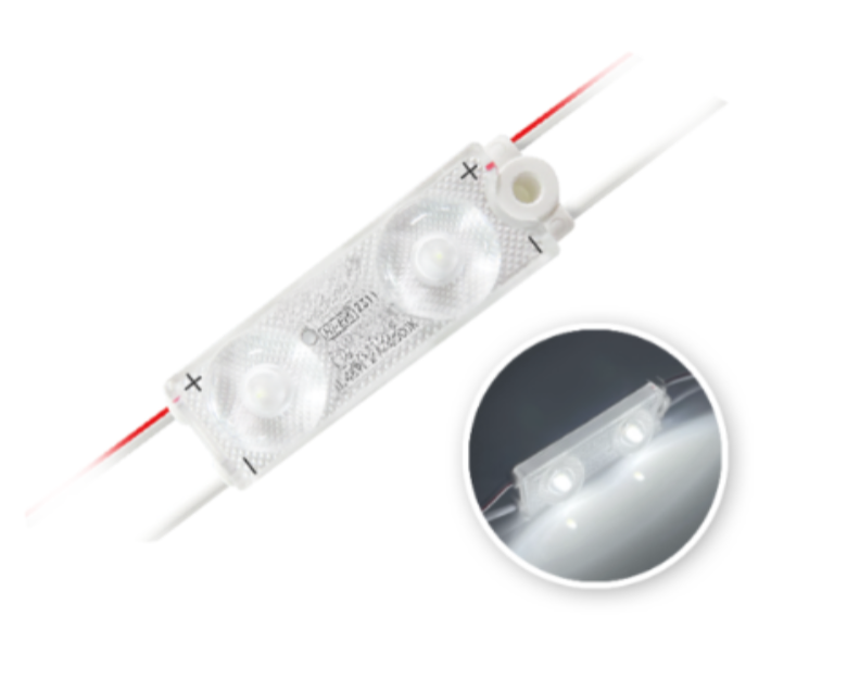 MODULE 2 LED 0.48W 24vDC 6500K IP67