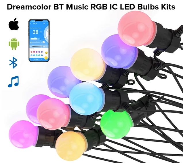 Pixel Festoon Lighting Kit RGBIC Addressable 12V