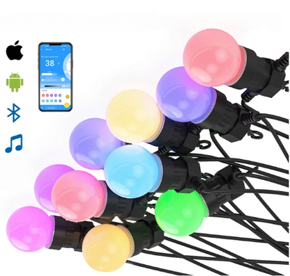 Pixel Festoon Lighting Kit RGBIC Addressable 12V